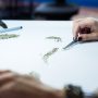 courses_main_image1538046231